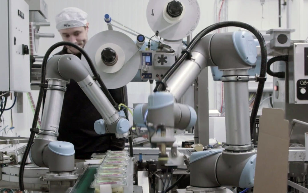 Cobots Are About To Save the World!